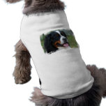 Sweet Bernese Pet Shirt