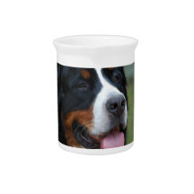 Sweet Bernese Pitcher