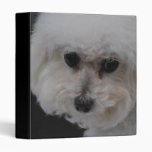 Sweet Bichon Frise Binder