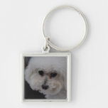Sweet Bichon Frise Key Chains