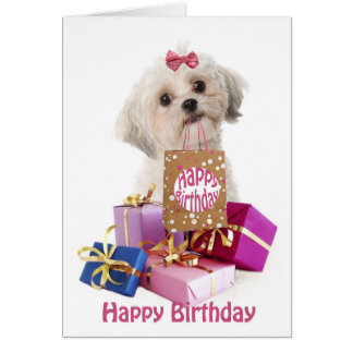 Maltese Cards | Zazzle