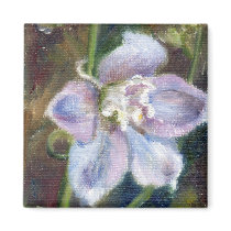 Sweet Bloom ACEO Magnet by bmthour Sweet Bloom ACEO Magnet