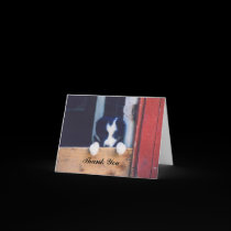 Sweet Border Collie Puppy Photo Thank You Card