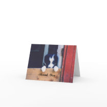 Sweet Border Collie Puppy Photo Thank You Card