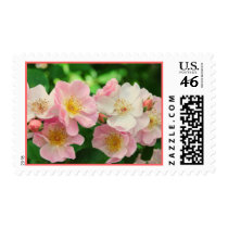Sweet Briar Roses Postage