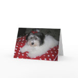 SWEET BROOKLYN NOTE CARDS