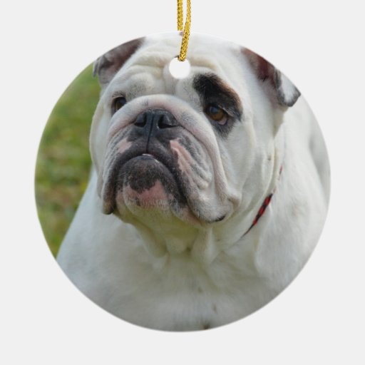 sweet bulldog christmas ornament sweet bulldog christmas ornament