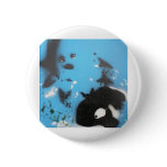 Sweet Button