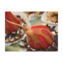sweet card postcards