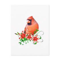 Sweet Cardinal postcards