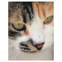 Sweet Cat Face Side letterhead by cosmopinkice Sweet Cat Face Side letterhead