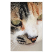 Sweet Cat Face Side stationery