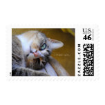 Sweet Cat I Miss You Stamps stamps