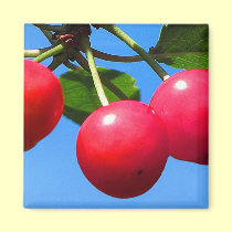 Sweet Cherries magnets