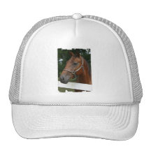 Sweet Chestnut Horse Baseball Hat