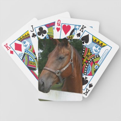 Horse Deck