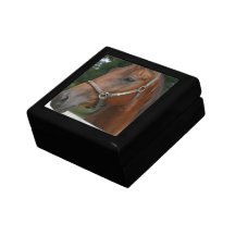 Sweet Chestnut Horse Gift Box