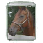 Sweet Chestnut Horse iPad Sleeve