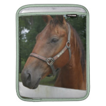 Sweet Chestnut Horse iPad Sleeve