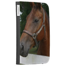 Sweet Chestnut Horse Kindle Case