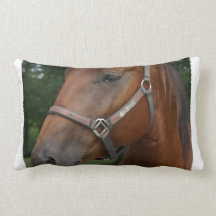Sweet Chestnut Horse Pillow
