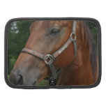 Sweet Chestnut Horse Wallet Folio Planners