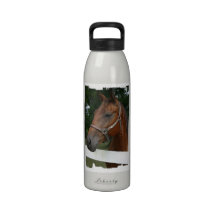 Sweet Chestnut Horse Water Bottle