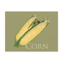 Sweet Corn Post Cards