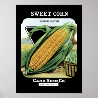 Sweet Corn Vintage Seed Packet Poster