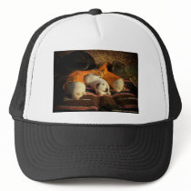 Sweet Cowboy Dreams hats by GAZoomIn Sweet Cowboy Dreams hats