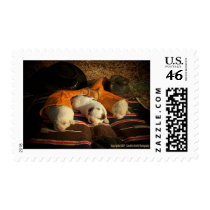 Sweet Cowboy Dreams postage
