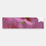 Sweet Crabapple Bumper Stickers