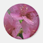 Sweet Crabapple Fridge Magnet