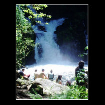 Sweet Creek Falls Postcard postcards