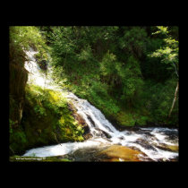 "Sweet Creek" posters