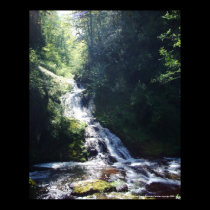 "Sweet Creek" posters