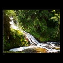Sweet Creek Trail postcards