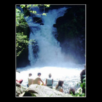 "Sweet Creek Waterfalls" postcards