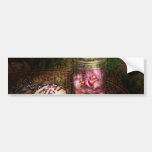 Sweet - Cupcake - Eat Me Bumper Sticker