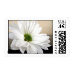 Sweet Daisy Postage