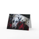 Sweet Dalmation cards by gardenparty Sweet Dalmation cards