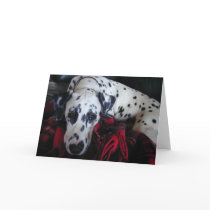 Sweet Dalmation cards by gardenparty Sweet Dalmation cards