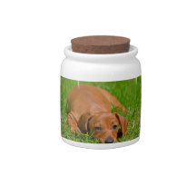 Sweet Daschund Sleeping Candy Jar