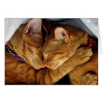 Sweet Dreams Cards