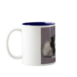 Sweet Dreams Ferrets mugs