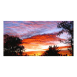Sweet Dreams Kodi Photo Card