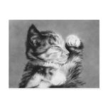 Sweet dreams little kitten Postcard