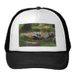 Sweet dreams mesh hat
