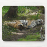 Sweet dreams mousepad