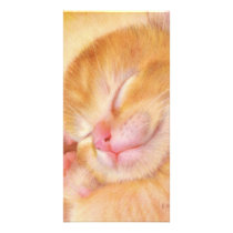 Sweet Dreams photo cards